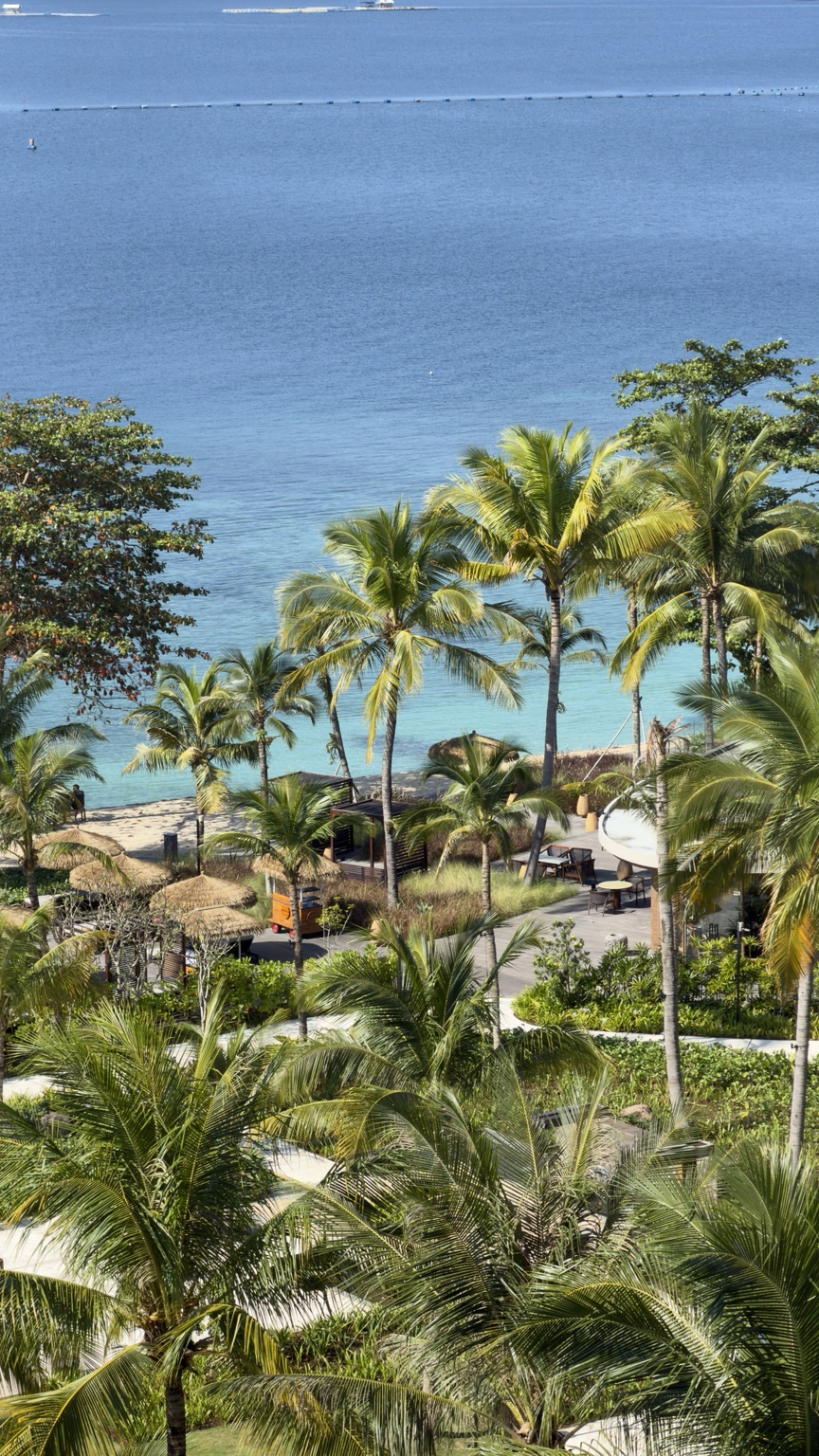 Blue sea beyond a beach with palms and thatched parasols